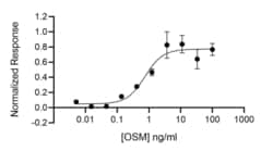 R D Systems Recombinant Human Oncostatin M (OSM), Animal-Free Protein 50 &mu;g | Buy Online | R&amp;D Systems&trade; | Fisher Scientific