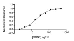 R D Systems Recombinant Human GDNF, Animal Free Protein 50 &mu;g | Buy Online | R&amp;D Systems&trade; | Fisher Scientific