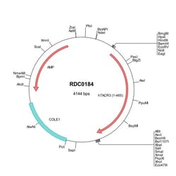 R&D Systems™ Human NK3R/TACR3 (NP_001050) VersaClone cDNA