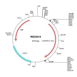 R&D Systems&trade;&nbsp;Mouse GHRHR (NP_001003685) VersaClone cDNA