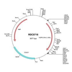 R&D Systems™ Human GPR35A (NP_005292) VersaClone cDNA