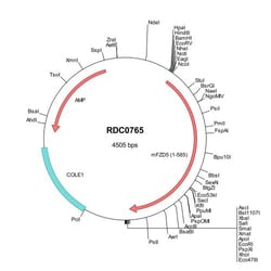 R&D Systems™ Mouse Frizzled-5 (NP_073558) VersaClone cDNA