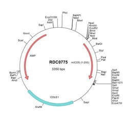 R&D Systems&trade;&nbsp;Mouse ICOS (NP_059508) VersaClone cDNA