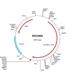 R&D Systems&trade;&nbsp;Mouse TSHR (NP_035778) VersaClone cDNA
