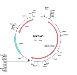 R&D Systems&trade;&nbsp;Mouse CD97 (NP_036055) VersaClone cDNA