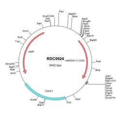 R&D Systems&trade;&nbsp;Mouse MS4A7 (NP_082112) VersaClone cDNA
