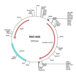 R&D Systems™ Human Connexin 58/GJA9 (NP_110399) VersaClone cDNA