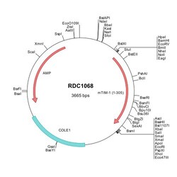 R&D Systems™ Mouse TIM-1/KIM-1/HAVCR (NP_599009) VersaClone cDNA