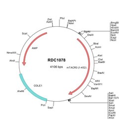 R&D Systems™ Mouse NK3R/TACR3 (NP_067357) VersaClone cDNA