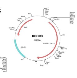 R&D Systems&trade;&nbsp;Human LILRB3/CD85a/ILT5 (NP_006855) VersaClone cDNA