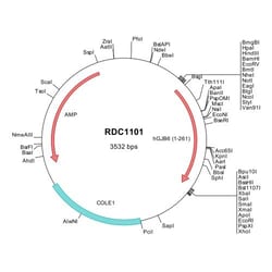 R&D Systems&trade;&nbsp;Human Connexin 30/GJB6 (NP_006774) VersaClone cDNA