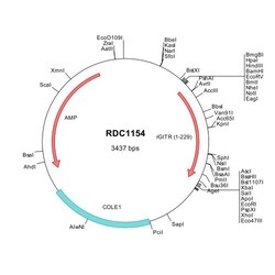R&D Systems&trade;&nbsp;Rat GITR/TNFRSF18 (NP_001019520) VersaClone cDNA