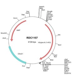 R&D Systems™ Human Siglec-6/CD327 (NP_001236) VersaClone cDNA