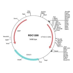 R&D Systems&trade;&nbsp;Mouse TACI/TNFRSF13B (NP_067324) VersaClone cDNA