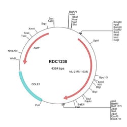 R&D Systems&trade;&nbsp;Human IL-21R (NP_068570) VersaClone cDNA