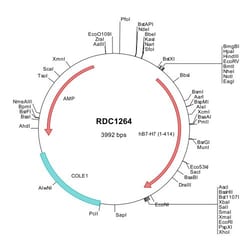 R&D Systems&trade;&nbsp;Human B7-H7/HHLA2 (NP_009003) VersaClone cDNA