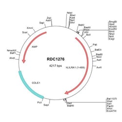 R&D Systems&trade;&nbsp;Human LILRA1/CD85i/LIR-6 (NP_006854) VersaClone cDNA