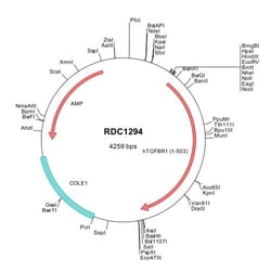 R&D Systems™ Human TGF-beta RI/ALK-5 (NP_004603) VersaClone cDNA