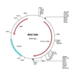 R&D Systems™ Human LILRB2/CD85d/ILT4 (NP_005865) VersaClone cDNA