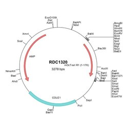 R&D Systems&trade;&nbsp;Mouse DcTRAILR1/TNFRSF23 (NP_077252) VersaClone cDNA