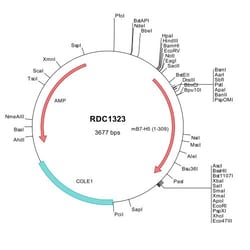 R&D Systems&trade;&nbsp;Mouse VISTA/B7-H5/PD-1H (NP_083008) VersaClone cDNA