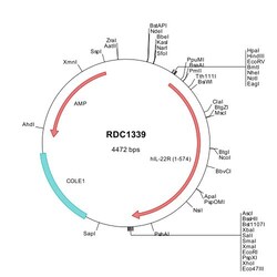 R&D Systems&trade;&nbsp;Human IL-22 R alpha 1 (NP_067081) VersaClone cDNA
