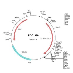 R&D Systems™ Human TIM-4 (NP_612388) VersaClone cDNA