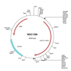 R&D Systems™ Mouse ST2/IL-33R (NP_001020773) VersaClone cDNA