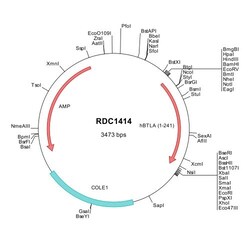R&D Systems™ Human BTLA (NP_001078826) VersaClone cDNA