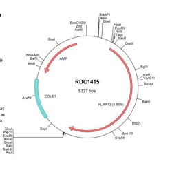 R&D Systems™ Human ST7/LRP12 (NP_038465) VersaClone cDNA