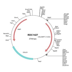 R&D Systems™ Mouse CRACC/SLAMF7 (BAE43122) VersaClone cDNA