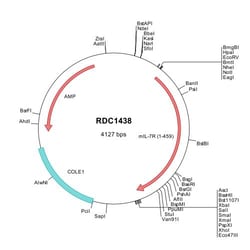 R&D Systems&trade;&nbsp;Mouse IL-7R alpha/CD127 (NP_032398) VersaClone cDNA