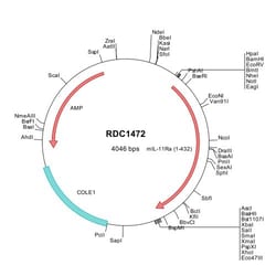R&D Systems&trade;&nbsp;Mouse IL-11 R alpha (NP_034679) VersaClone cDNA
