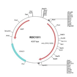 R&D Systems&trade;&nbsp;Mouse IL-21R (NP_068687) VersaClone cDNA