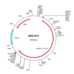 R&D Systems™ Human IGSF3 (NP_001533) VersaClone cDNA