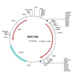 R&D Systems&trade;&nbsp;Mouse TNF RI/TNFRSF1A (NP_035739) VersaClone cDNA