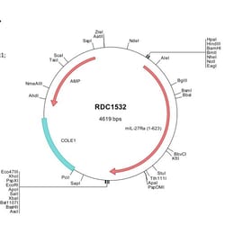 R&D Systems&trade;&nbsp;Mouse IL-27 R alpha/WSX-1/TCCR (NP_057880) VersaClone cDNA