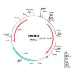 R&D Systems&trade;&nbsp;Human CD200R1 (NP_620161) VersaClone cDNA