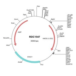 R&D Systems&trade;&nbsp;Human MOG (NP_002424) VersaClone cDNA