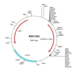 R&D Systems&trade;&nbsp;Human CD300a/LMIR1 (NP_009192) VersaClone cDNA