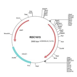 R&D Systems&trade;&nbsp;Mouse CD300g/Nepmucin (NP_001154183) VersaClone cDNA