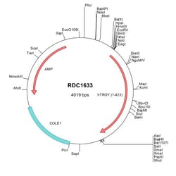 R&D Systems&trade;&nbsp;Human TROY/TNFRSF19 (NP_061117) VersaClone cDNA