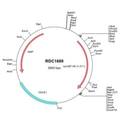 R&D Systems™ Cynomolgus Monkey VISTA/B7-H5/PD-1H (XP_005565644) cDNA