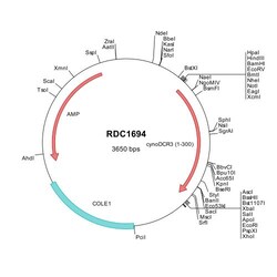 R&D Systems&trade;&nbsp;Cynomolgus Monkey DcR3/TNFRSF6B (EHH65162) VersaClone cDNA