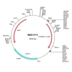 R&D Systems&trade;&nbsp;Human TMIGD1 (NP_996663) VersaClone cDNA