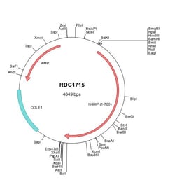 R&D Systems&trade;&nbsp;Human Hip (NP_071920) VersaClone cDNA