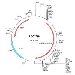 R&D Systems&trade;&nbsp;Mouse GPR50 (NP_034470) VersaClone cDNA