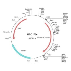 R&D Systems&trade;&nbsp;Mouse PDGFRL (NP_081116) VersaClone cDNA