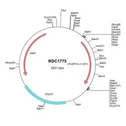 R&D Systems&trade;&nbsp;Human Fc epsilon RI alpha (AAH15195) VersaClone cDNA