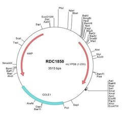 R&D Systems&trade;&nbsp;Mouse LYPD8 (NP_001077353) VersaClone cDNA